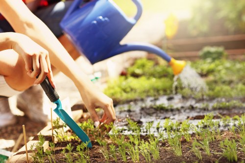 Lawn mowing service in Upminster team at work
