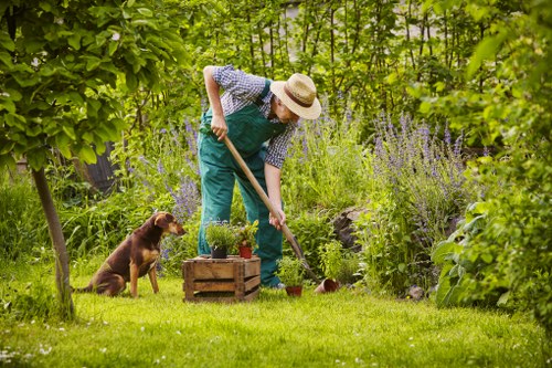 Experienced team providing lawn care