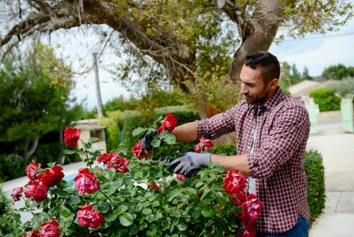 Eco-friendly landscaping solutions in Upminster