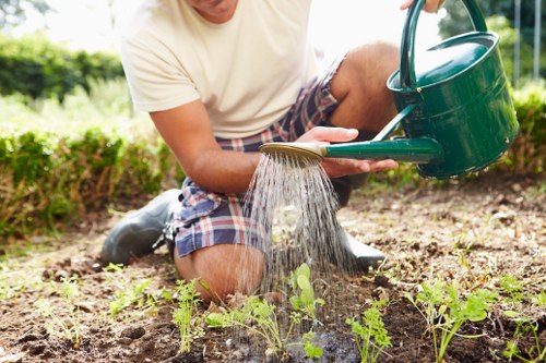 Healthy spring lawn ready for mowing