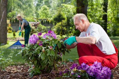 Seasonal garden maintenance tasks