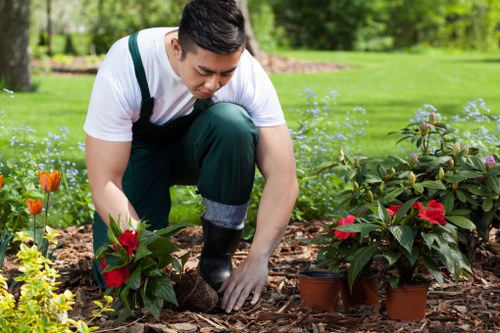 Professional gardener working in Upminster
