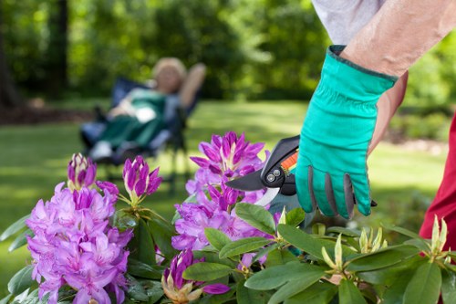 Lawn care professional working in Upminster yard