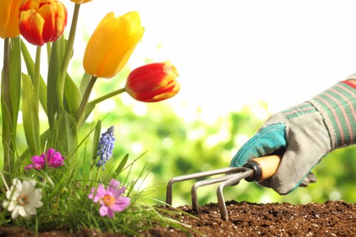 Lush garden with efficient irrigation system