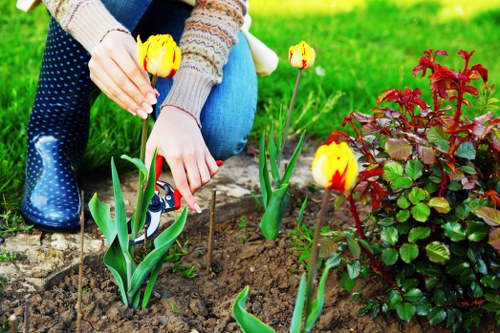 Garden technician preparing equipment for remedial lawn works