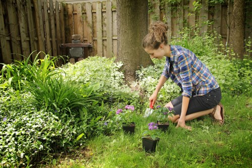 Lawn mowing machinery cutting a residential lawn in Upminster