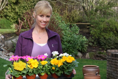 A woman with blonde hair, wearing a purple jacket over a white top, is standing outdoors in a lush garden. She is holding a tray of colorful potted flowering plants, including bright yellow, pink, and white blooms, arranged in a single row. The garden features well-maintained grass, with a stone pathway, shrubbery, and trees in the background, along with a brick wall and wooden steps leading up a gentle slope. The scene appears to be in a residential setting during daylight, under clear weather conditions, with natural lighting highlighting the vibrant colors of the flowers and greenery, fitting within a landscaping or gardening service context in Upminster.