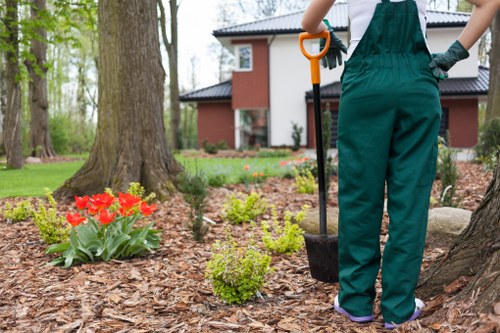 Close-up of a homeowner documenting lawn issue with a smartphone