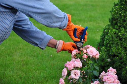 Professional pruning services in Upminster garden