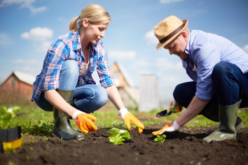 Professional garden design services in Upminster