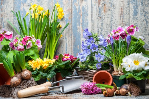 Clean and organized garden following clearance